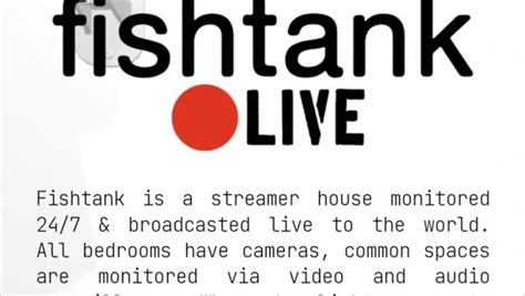 *STREAM! Fishtank Season 1 Episode 8 FullEpisode .